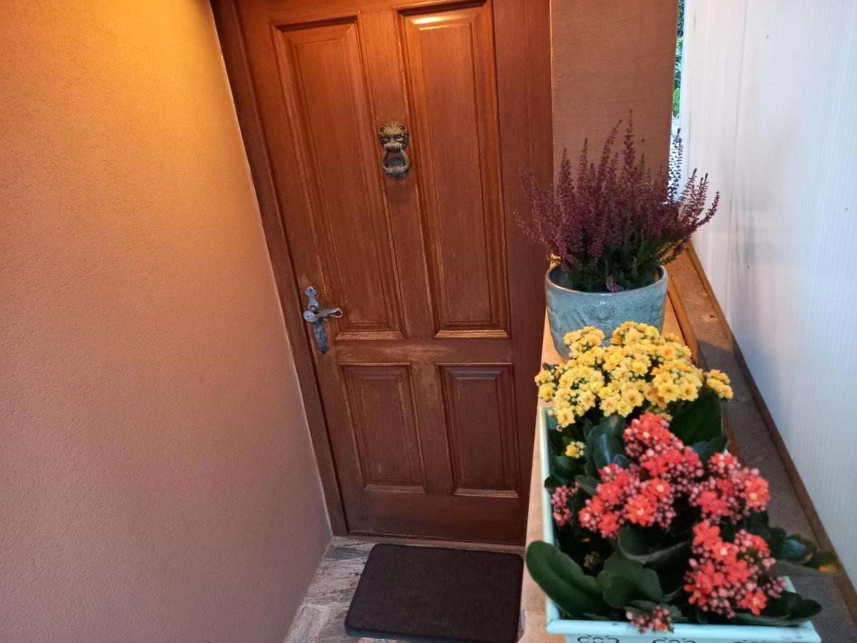 Apartament Blue Deer Umag Zewnętrze zdjęcie