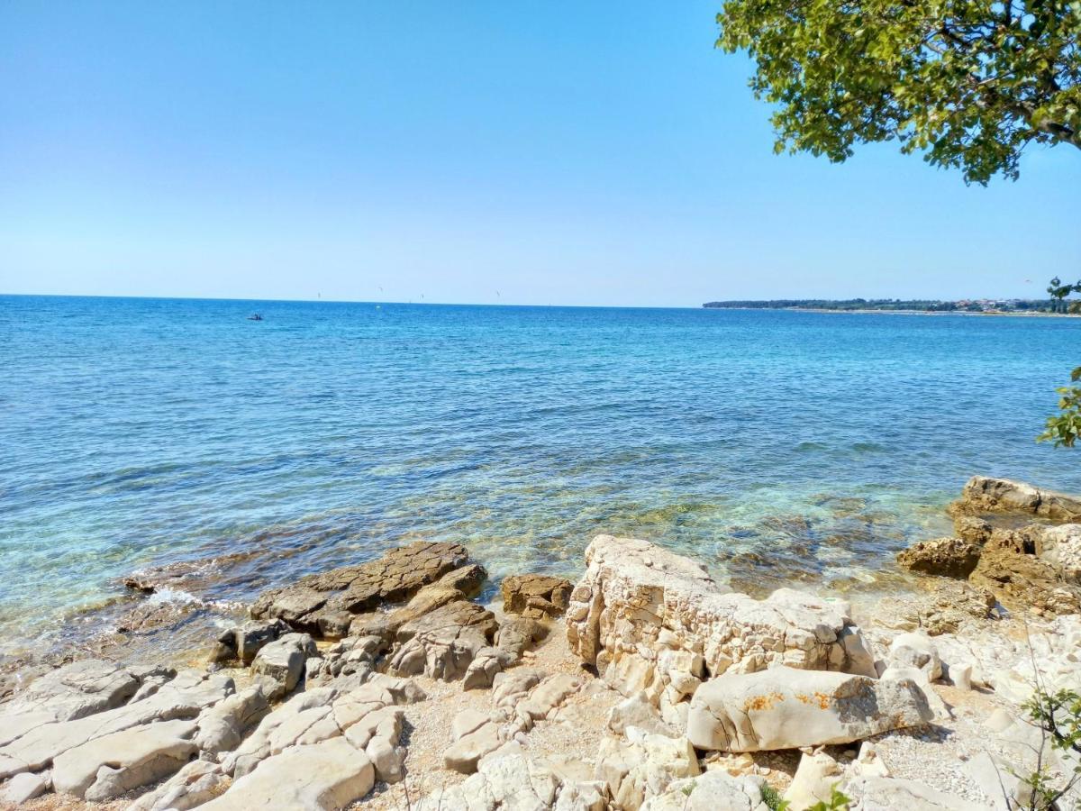 Apartament Blue Deer Umag Zewnętrze zdjęcie