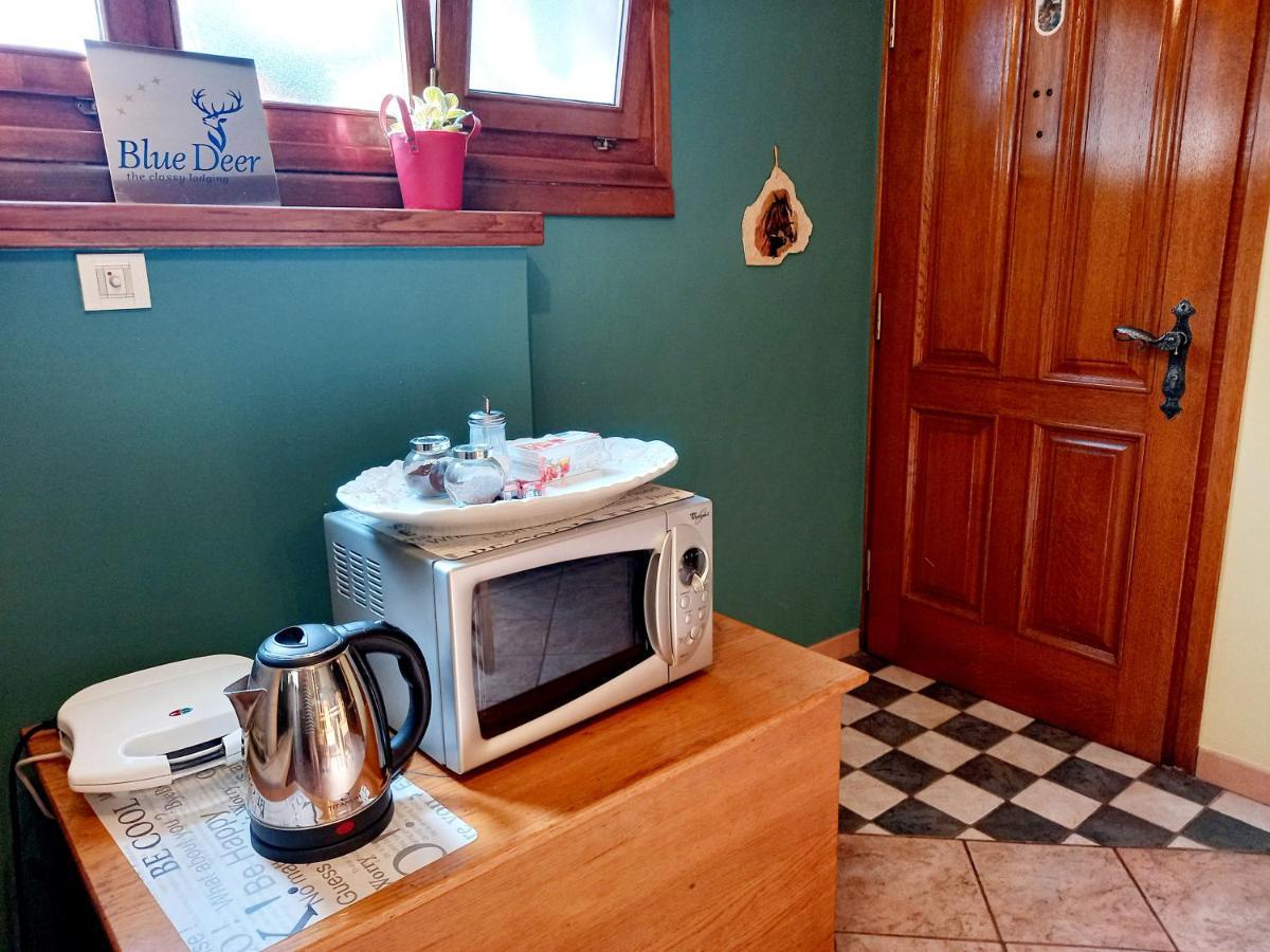 Apartament Blue Deer Umag Zewnętrze zdjęcie