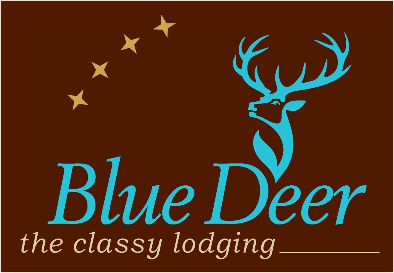 Apartament Blue Deer Umag Zewnętrze zdjęcie